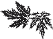 Я обманывать себя не стану… - i_033.png