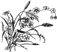 Я обманывать себя не стану… - i_035.png