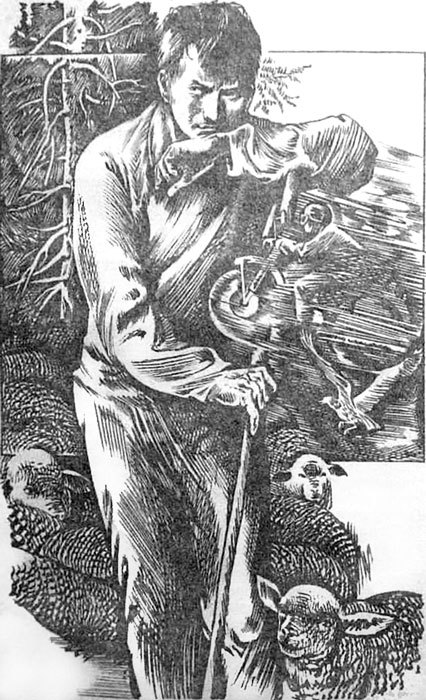 Крик с вершины - i_002.jpg