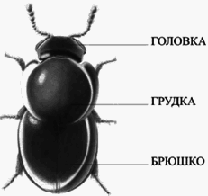 Путь без иллюзий: Том II. Теория и практика медитации - i_013.png