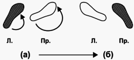 Путь без иллюзий: Том II. Теория и практика медитации - i_104.png