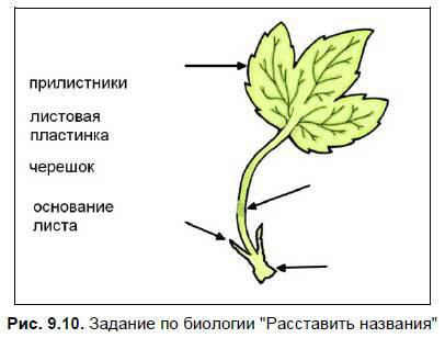 Интерактивные доски и их использование в учебном процессе - i_153.jpg