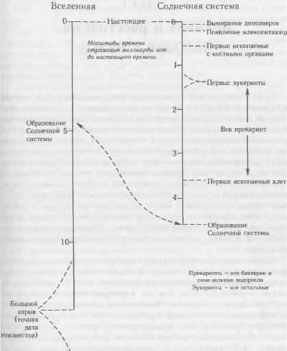 Жизнь как она есть: её зарождение и сущность - img_2.jpeg