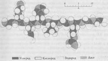 Жизнь как она есть: её зарождение и сущность - img_7.jpeg