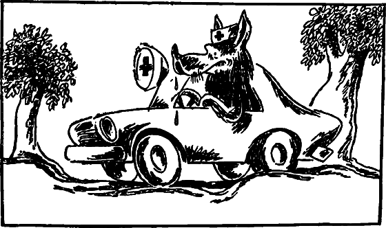 Профиль равновесия - i_027.png