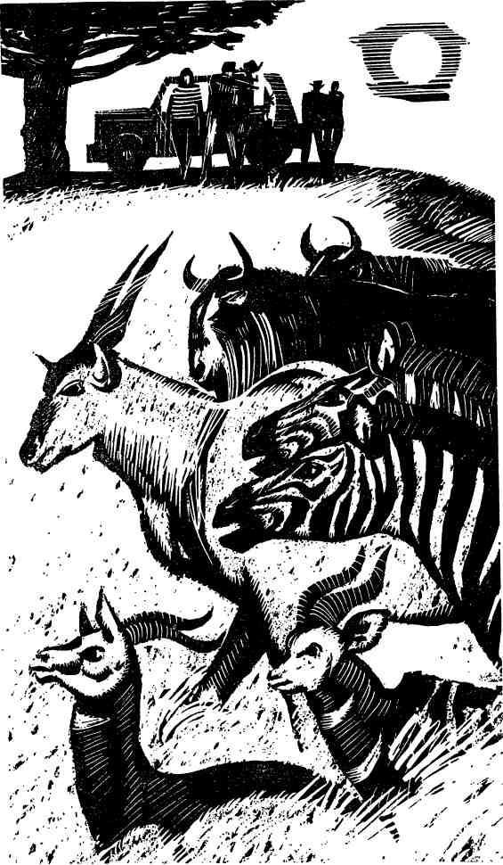 Бухта командора - img_11.jpeg