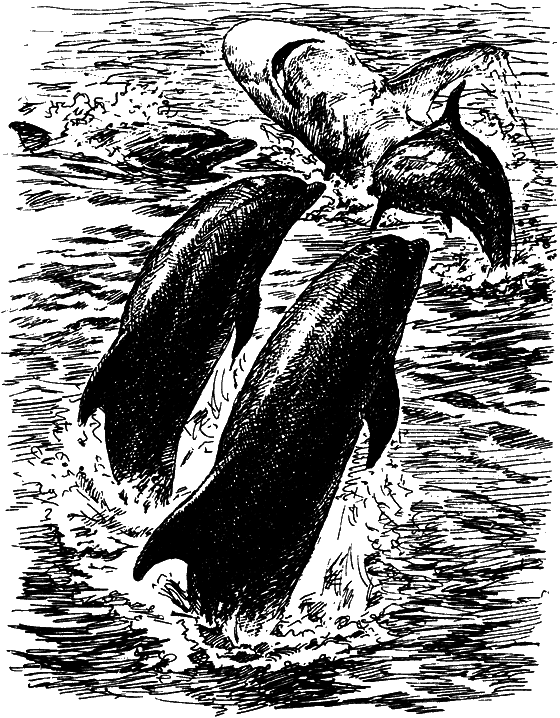 Могучий властелин морей. Чтобы не было в море тайн - i_014.png