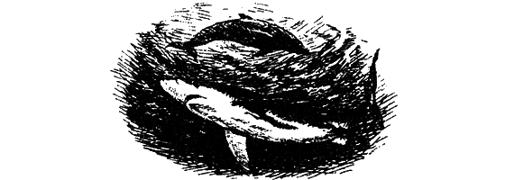 Могучий властелин морей. Чтобы не было в море тайн - i_016.png