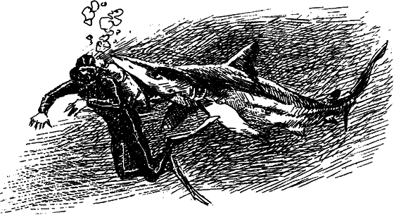 Могучий властелин морей. Чтобы не было в море тайн - i_017.png