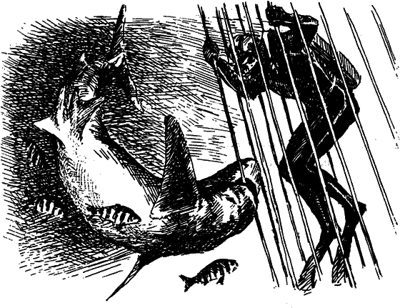 Могучий властелин морей. Чтобы не было в море тайн - i_020.png