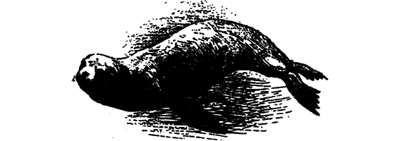 Могучий властелин морей. Чтобы не было в море тайн - i_051.png