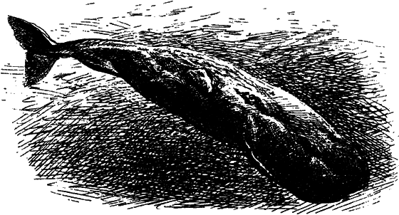 Могучий властелин морей. Чтобы не было в море тайн - i_052.png