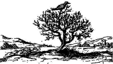 Сказка сказок, или Забава для малых ребят - i_013.jpg