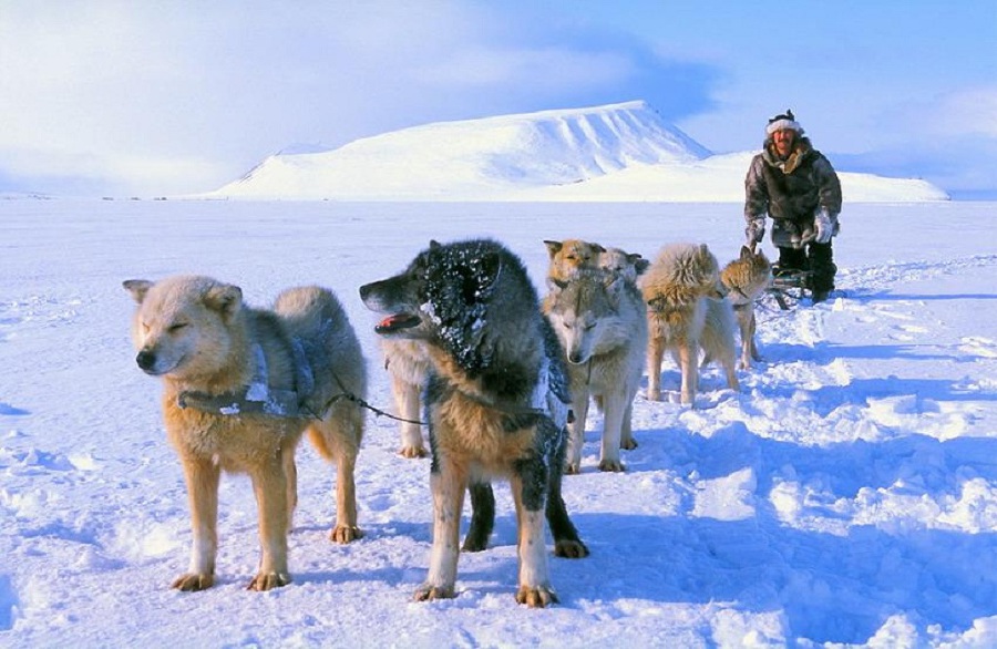 Белый континент (с илл.) (СИ) - i_021.jpg