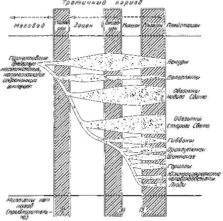 Род человеческий - i_027.png