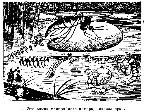 Приключения доктора Скальпеля и фабзавука Николки в мире малых величин (худ. Львов) - pic_16.png