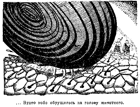 Приключения доктора Скальпеля и фабзавука Николки в мире малых величин (худ. Львов) - pic_20.png