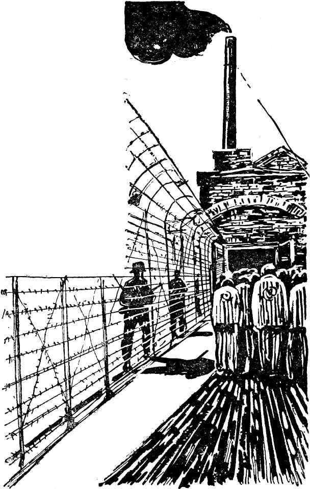 Золотой крест - img_9.jpg