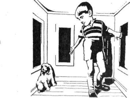 Юридическая психология. С основами общей и социальной психологии - img_20.jpg