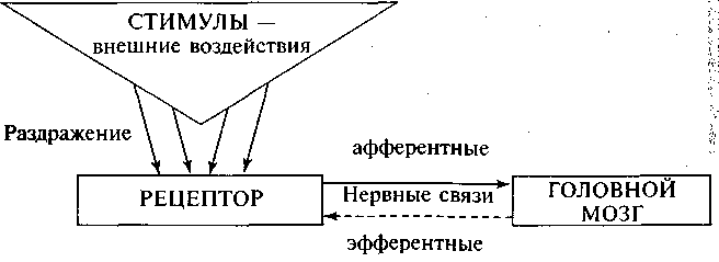 Юридическая психология. С основами общей и социальной психологии - img_5.png