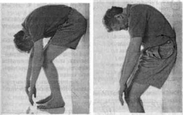 Управление телом по методу Пилатеса - any2fbimgloader19.jpeg