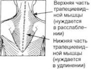 Управление телом по методу Пилатеса - any2fbimgloader50.jpeg