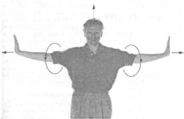 Управление телом по методу Пилатеса - any2fbimgloader53.jpeg