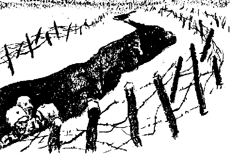 Забайкальцы. Книга 2 - i_003.png