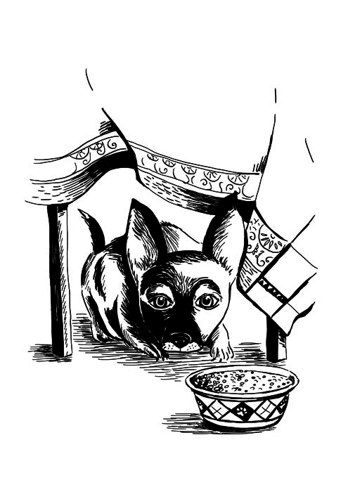 Ведьма Страны Туманов - i_004.png