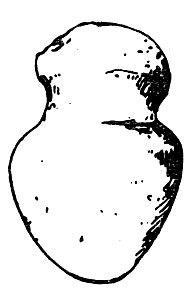 Канака — люди южных морей - i_006.jpg