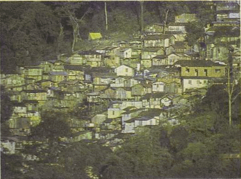 1001 день в Рио-де-Жанейро - i_030.png