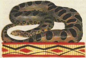 1001 день в Рио-де-Жанейро - i_040.png