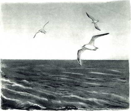 Акула. Рассказы - _010.jpg