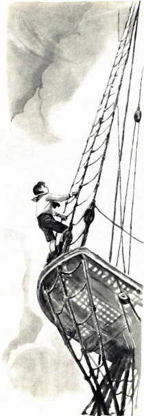 Акула. Рассказы - _011.jpg