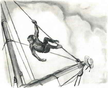 Акула. Рассказы - _012.jpg