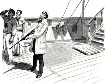 Акула. Рассказы - _013.jpg