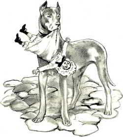 Акула. Рассказы - _017.jpg