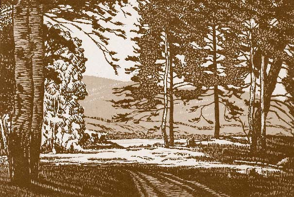 Немцы на Южном Урале - i_050.jpg