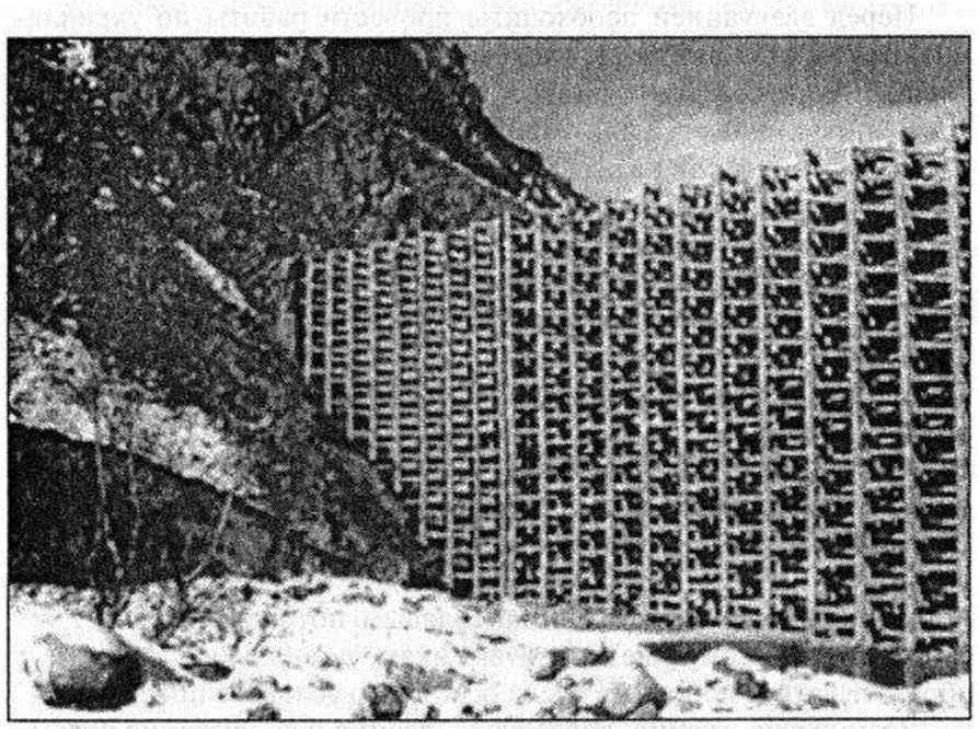 Основы безопасности жизнедеятельности. 7 класс - ProtivoSel.jpg_0