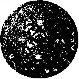 Китай: укрощение драконов. Духовные поиски и сакральный экстаз - _31.jpg