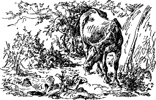 То, чего не было (рис. В. Бастрыкина) - i_009.png