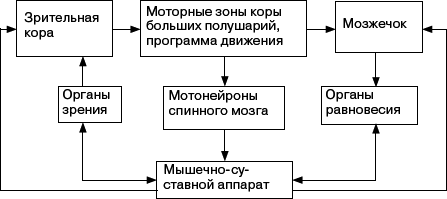 Человек в экстремальной ситуации - _11.png