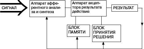 Человек в экстремальной ситуации - _12.png