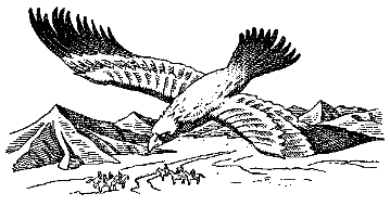 Черный Волк. Тенгери, сын Черного Волка - img_4.png