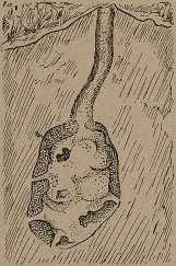 Юные натуралисты в краеведческой экспедиции - _17.jpg