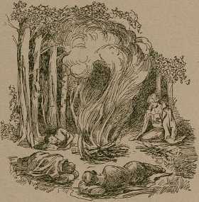 Юные натуралисты в краеведческой экспедиции - _19.jpg