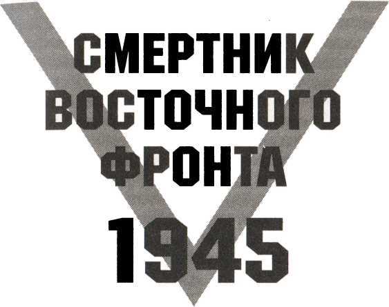  Смертник восточного фронта. 1945. Агония III рейха - image3.jpg