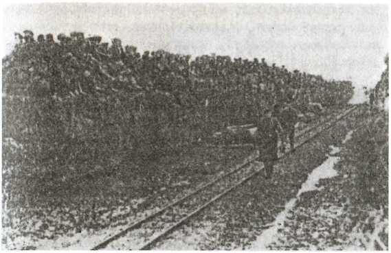  Кровавое безумие Восточного фронта. Воспоминания пехотинца и артиллериста Вермахта - image8.jpg