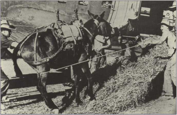 Вторая Мировая Неразгаданные тайны - _99.jpg