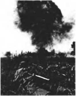 Танковый ас №1 Михаэль Виттманн - image42.jpg